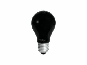 OMNILUX Discolicht A19 - Glühlampe - UV-Lampe / Schwarzlicht - E27 - 75W